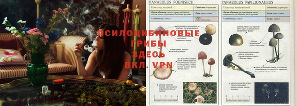 марки nbome Вяземский