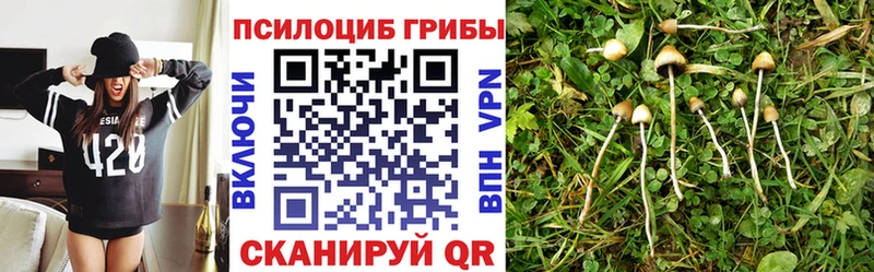 продажа наркотиков  Нальчик  Псилоцибиновые грибы Magic Shrooms 